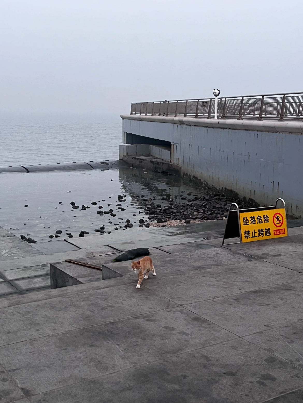 把裤子放在冰箱里，做个冷酷的人